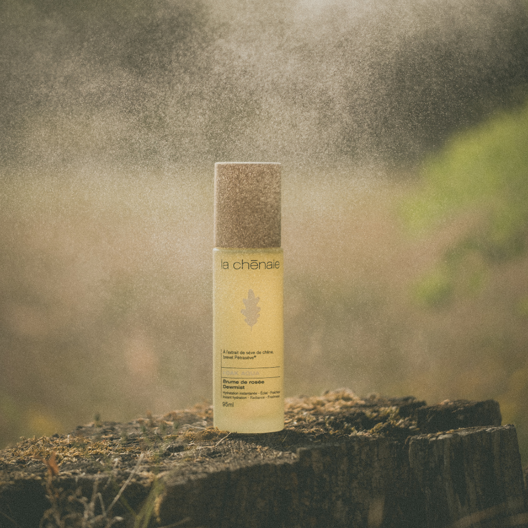 Brume de Rosée